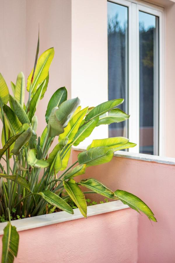 Aphrodite Studios & Apartment Bali  Eksteriør bilde